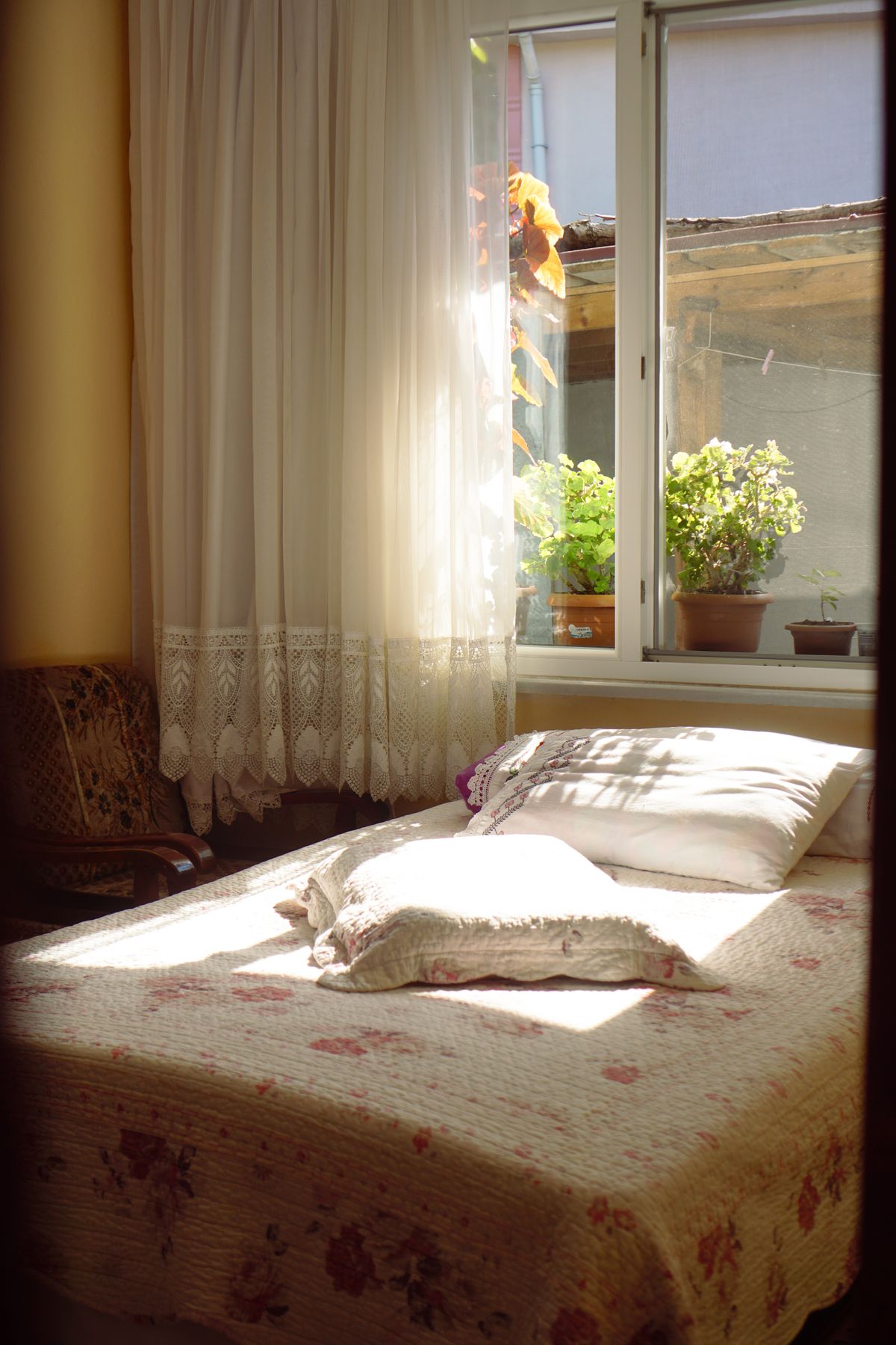 red light therapy sleep older adults