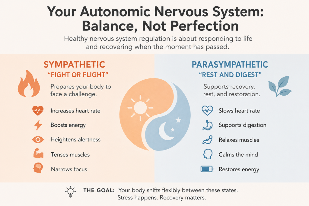 A graphic explaining nervous system regulation sympathetic vs. parasympathetic.